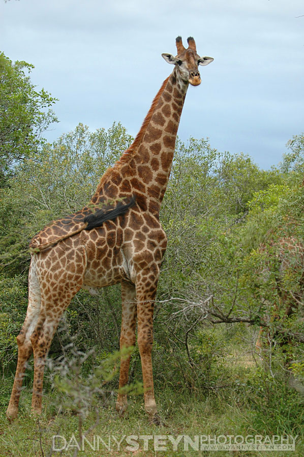 South florida photography studio